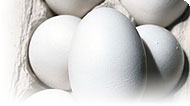 Egg-Free Diet: Main Image