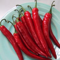 Cayenne Pepper: Main Image