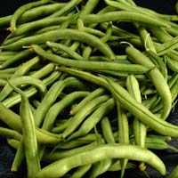 Green Beans: Main Image