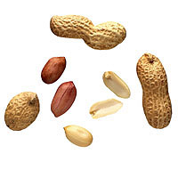 Peanuts: Main Image