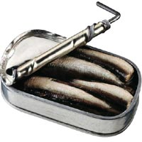 Sardines: Main Image