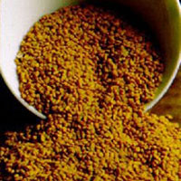 Fenugreek: Main Image