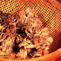 Maitake: Main Image