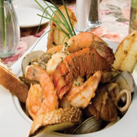 Baby Zuppa di Pesce: Main Image