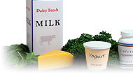 Dairy-Free Diet: Main Image