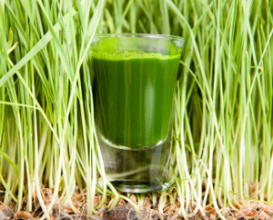 Drink to Your Health with Raw Green Smoothies: Main Image