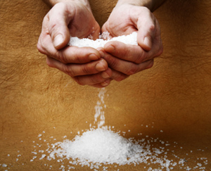 Salt Is No Friend to Heart or Head: Main Image