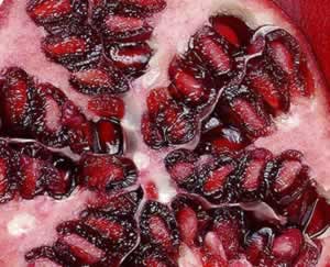 Exotic Fruits and Berries Boast Big Antioxidents: Main Image