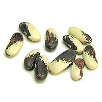Appaloosa Beans: Main Image