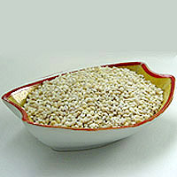 Barley: Main Image