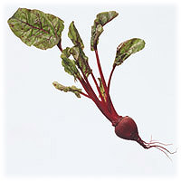 Beets: Main Image