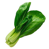 Bok Choy: Main Image