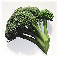 Broccoli: Main Image