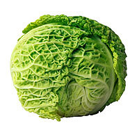 Cabbage: Main Image