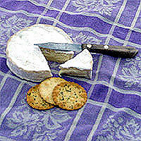 Camembert: Main Image