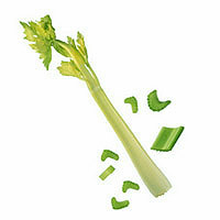 Celery: Main Image