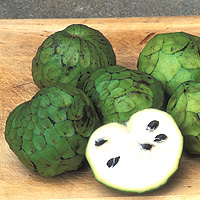 Cherimoya: Main Image