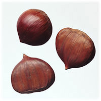 Chestnuts: Main Image