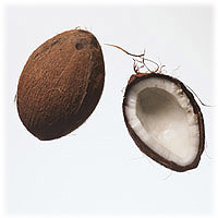 Coconuts: Main Image