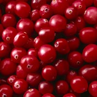 Cranberries: Main Image