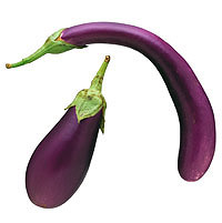 Aubergine: Main Image