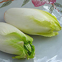 Endive: Main Image