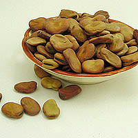 Fava Beans: Main Image