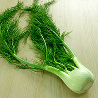 Fennel: Main Image