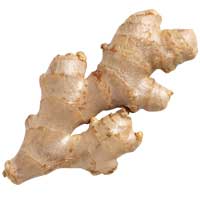 Ginger: Main Image