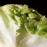 Iceberg Lettuce: Main Image