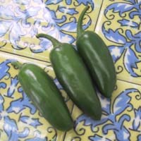 Jalapeo Pepper: Main Image