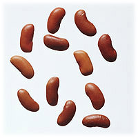 Kidney Beans: Main Image