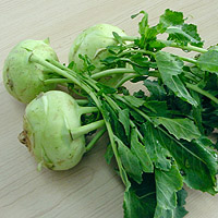 Kohlrabi: Main Image