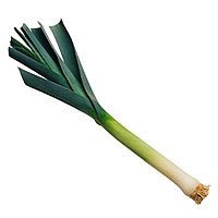 Leeks: Main Image