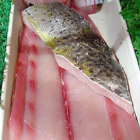 Mahi Mahi: Main Image