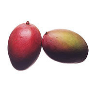 Mango: Main Image