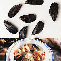 Mussels: Main Image