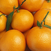 Oranges: Main Image
