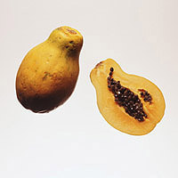 Papaya: Main Image