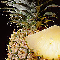 Pineapple: Main Image