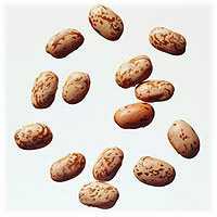 Pinto Beans: Main Image