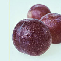 Plums: Main Image