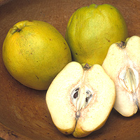 Quince: Main Image