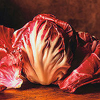 Radicchio: Main Image