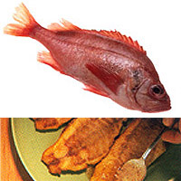 Rockfish: Main Image