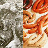 Sausage: Main Image