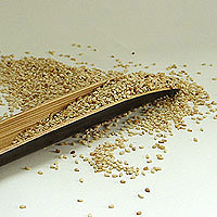 Sesame Seeds: Main Image