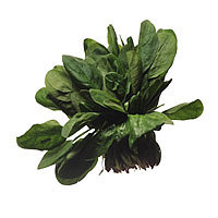 Spinach: Main Image