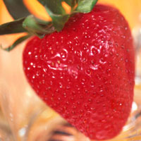 Strawberries: Main Image