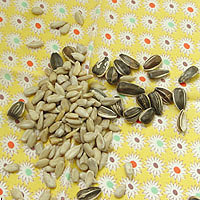 Sunflower Seeds: Main Image
